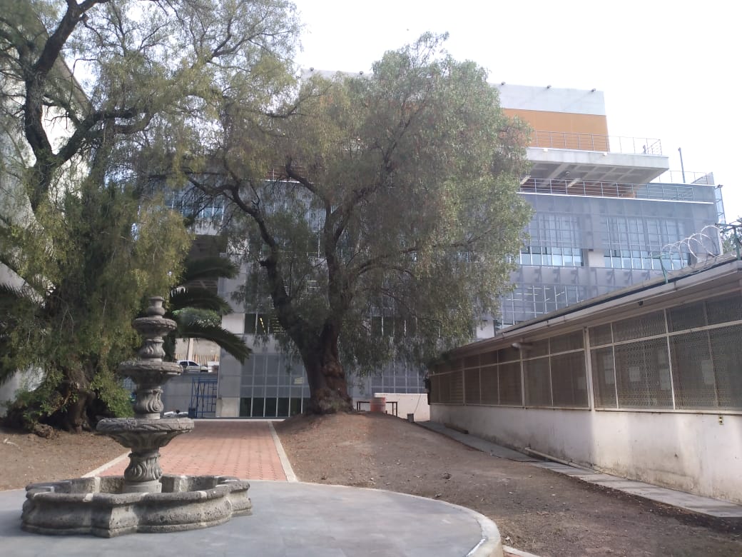 Biblioteca, Facultad de Estudios Superiores Zaragoza